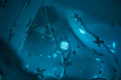 ZodiacBet Kasino Mobiilisovellus